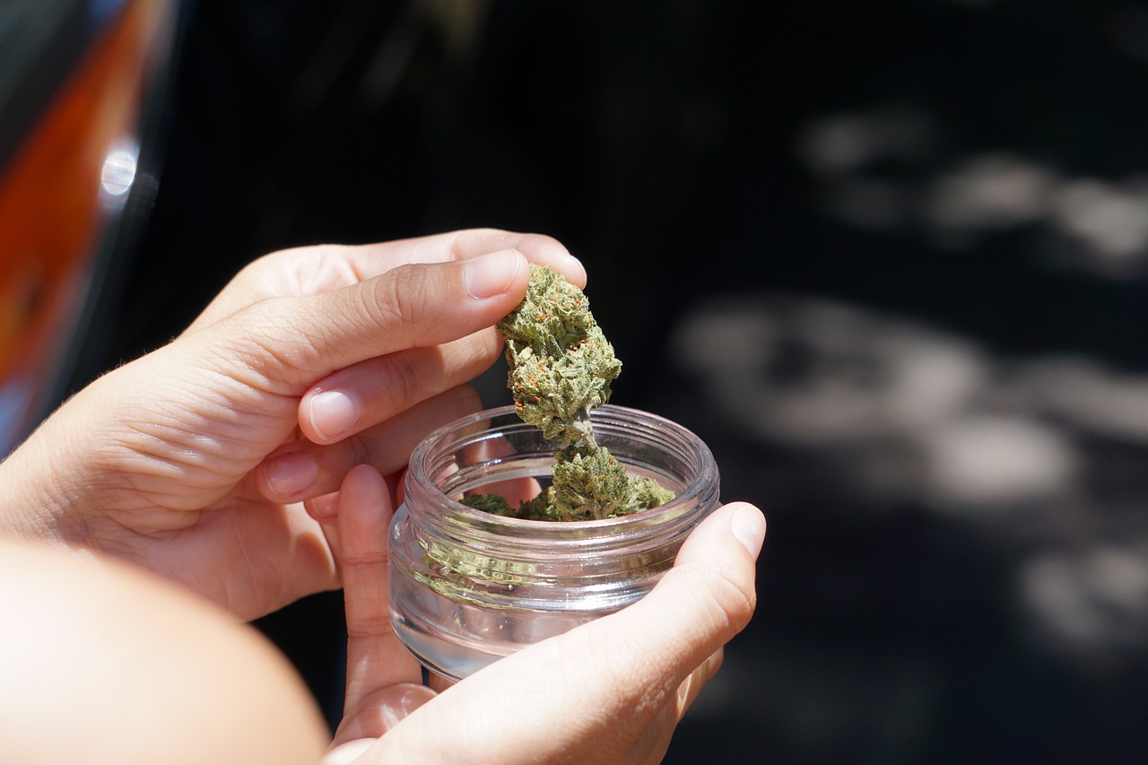 Cannabis-Therapie